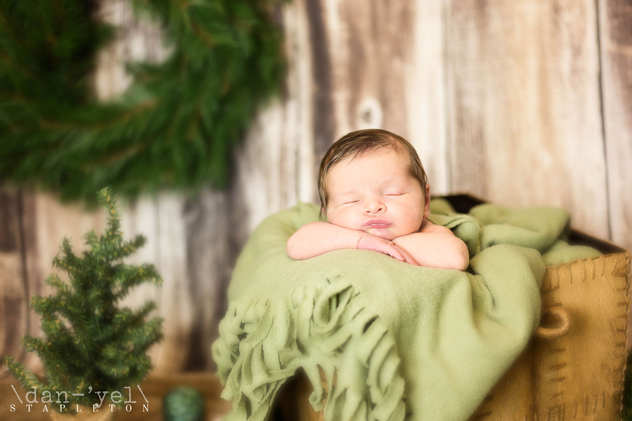 christmas newborn portraits