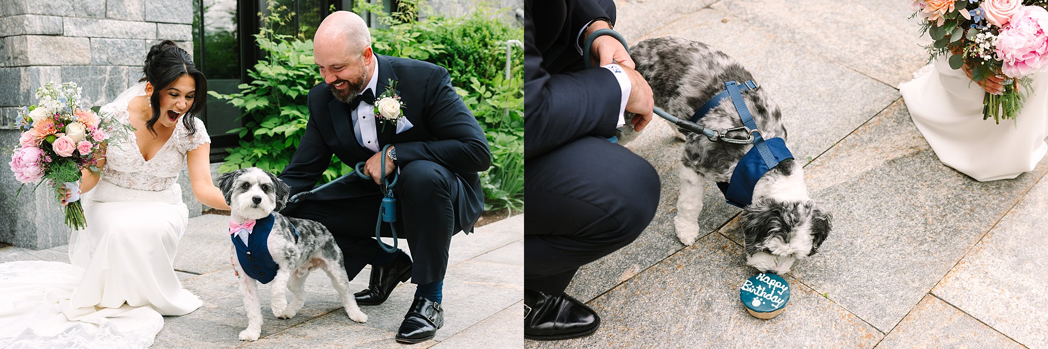 A bride and groom smile at their dog, who wears a bow tie in one photo; in the other, the dog eats a decorated cookie on stone pavement next to a flower arrangement.