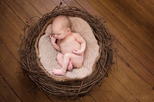 newborn photographer MA