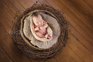 newborn photographer duxbury