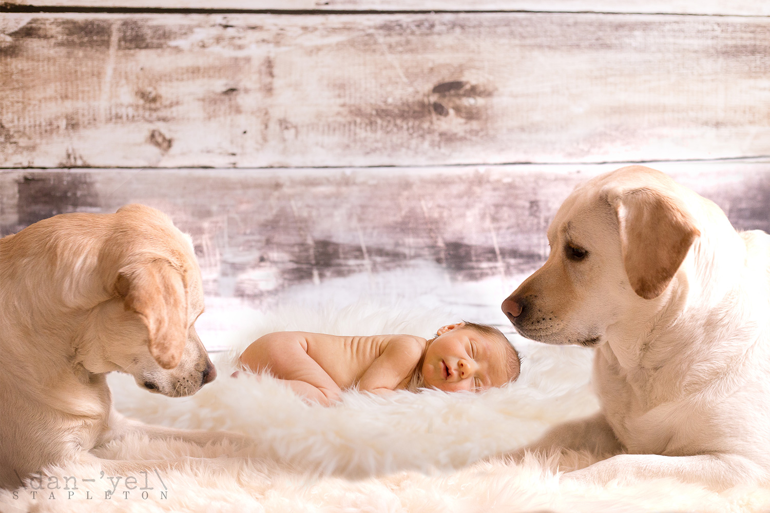 massachusetts-newborn-photography | Showit Blog