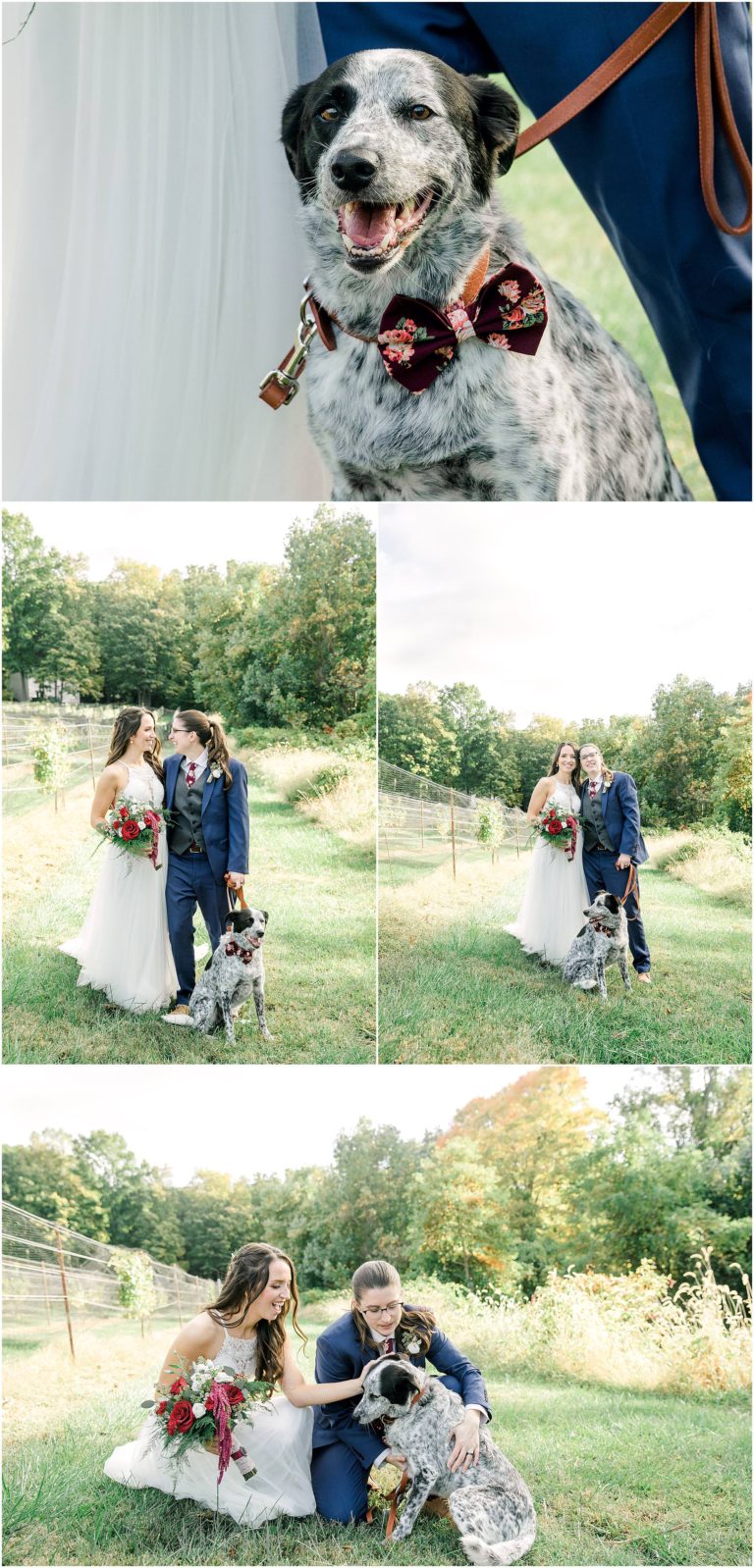 ChamardVineyardWedding_0084 Showit Blog