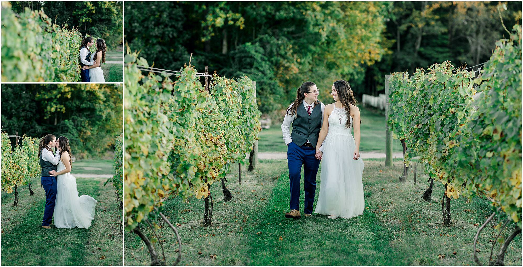 brides walk through vines at Chamard Vineyard