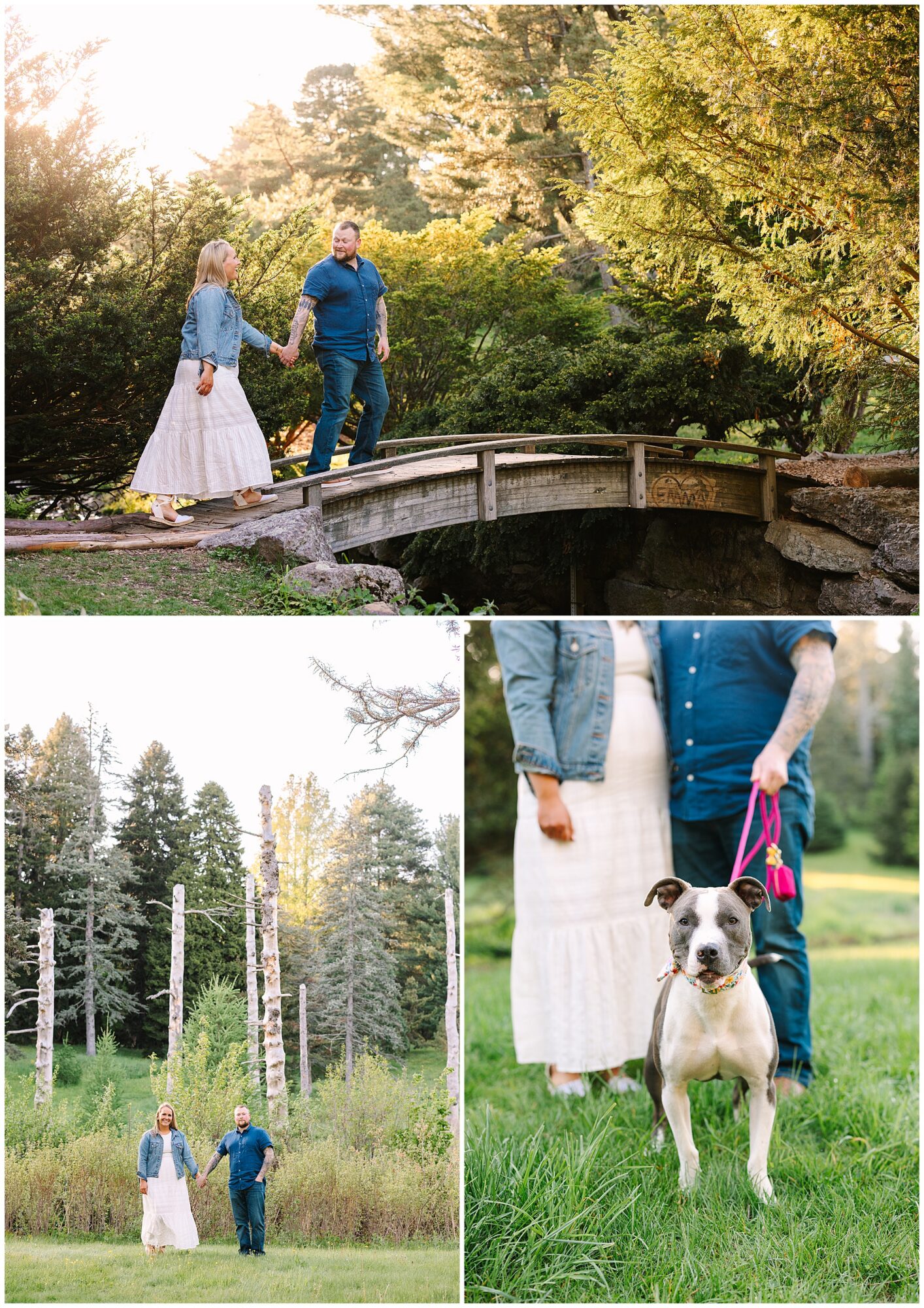 A couple in casual clothes walks hand in hand across a small bridge in a lush park, then stands together in a grassy field with their happy, leashed dog in the foreground.