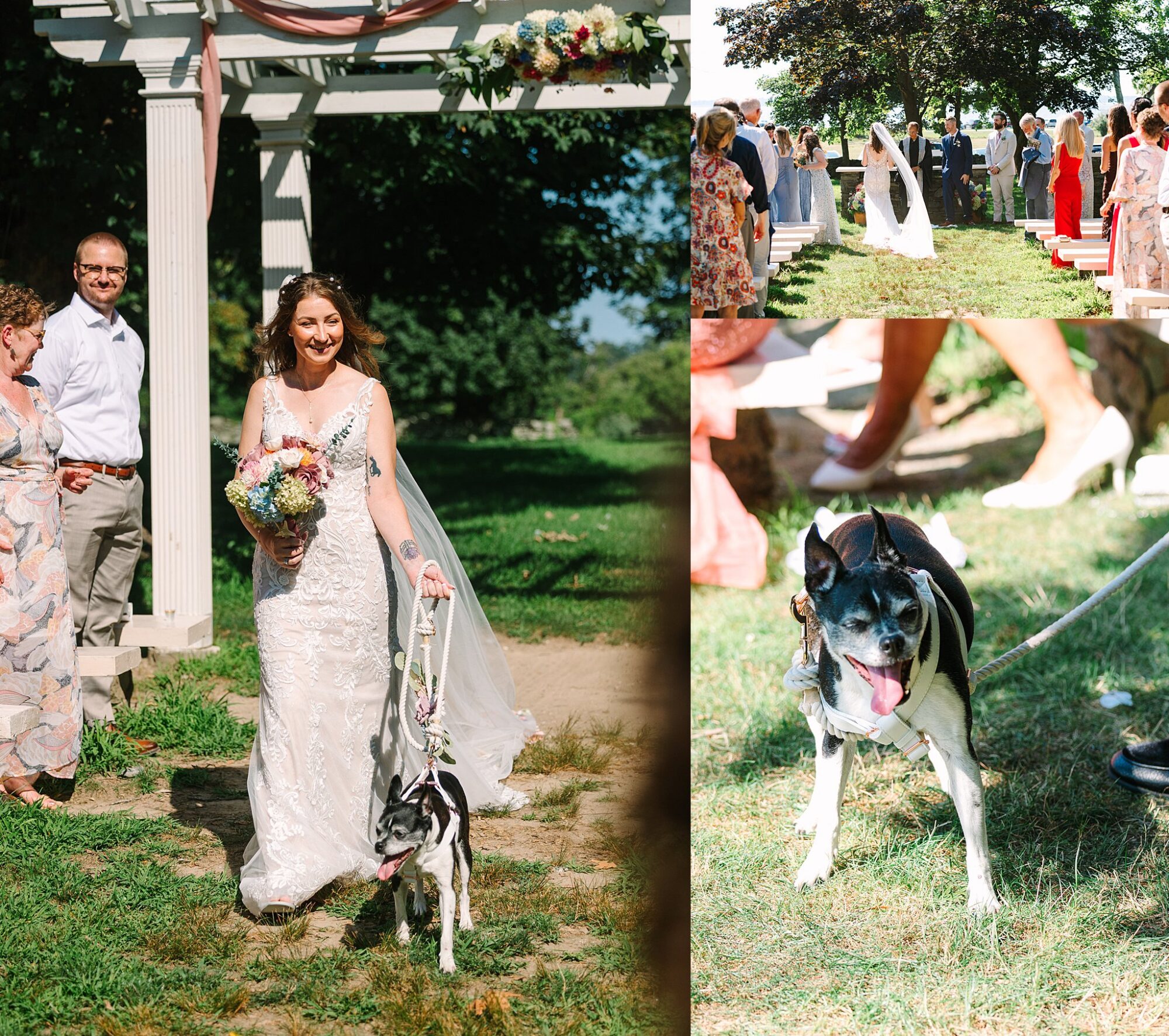 A bride in a white dress walks outdoors with a bouquet and a black-and-white dog on a leash during a sunny wedding ceremony, with guests watching.