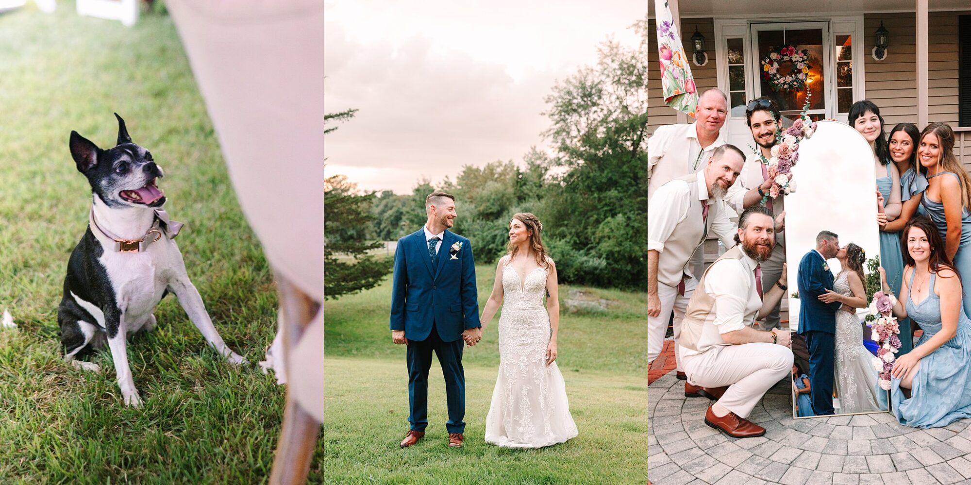 A black and white dog sits on grass, a bride and groom hold hands outdoors, and a group of people pose together at a celebration outside a house.